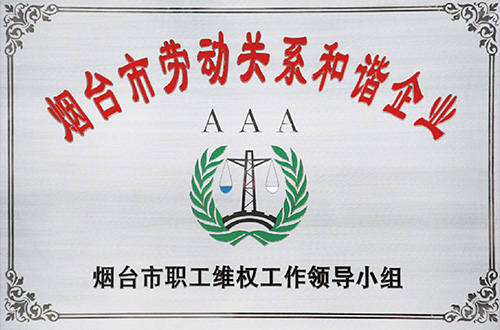 煙臺(tái)市勞動(dòng)關(guān)系和諧企業(yè)