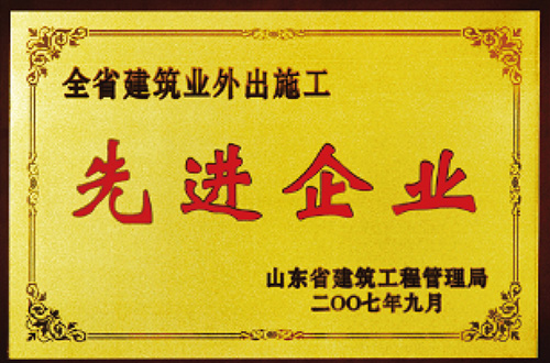 全省建筑業(yè)外出施工先進(jìn)企業(yè)