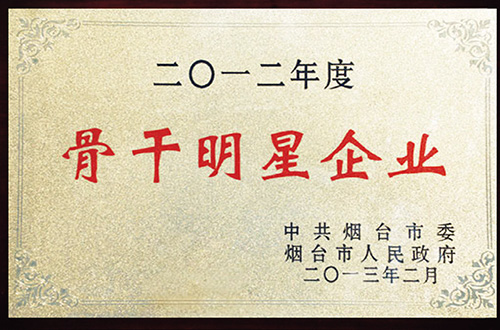 煙臺(tái)市骨干明星企業(yè)