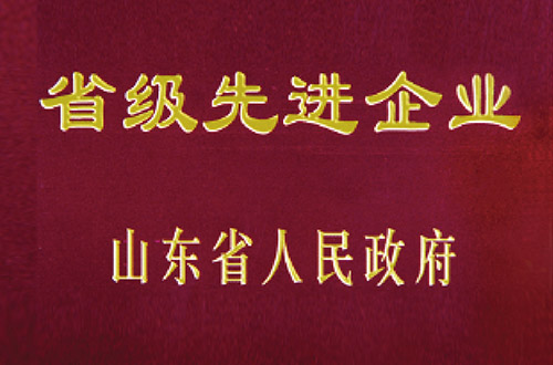 省級(jí)先進(jìn)企業(yè)
