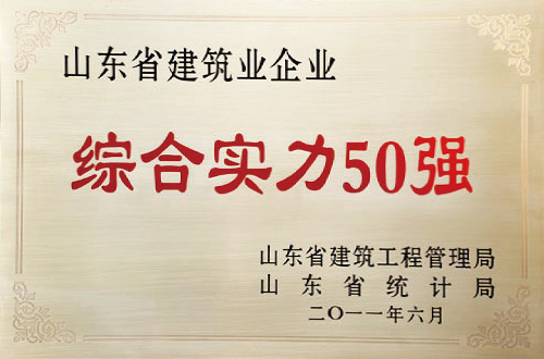 山東省建筑業(yè)企業(yè)綜合實(shí)力50強(qiáng)