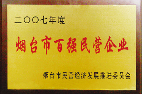煙臺(tái)市百強(qiáng)民營企業(yè)